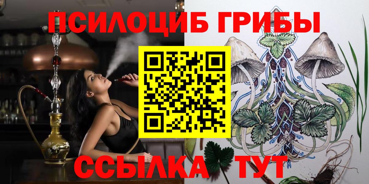 Шарыпово  Псилоцибиновые грибы Cubensis  Вход с VPN 